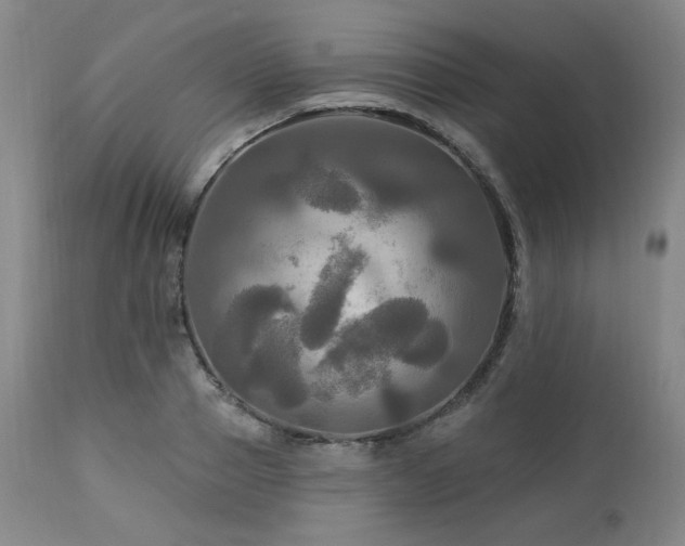 X0000113050937200908271527