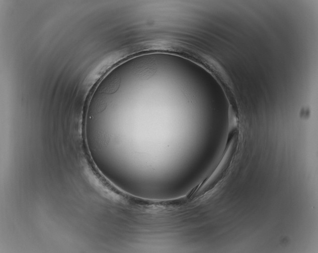 X0000113050938200908271527