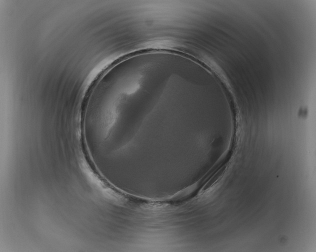 X0000113050939200908271527