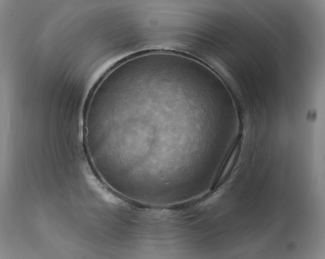 X0000113050940200908271527