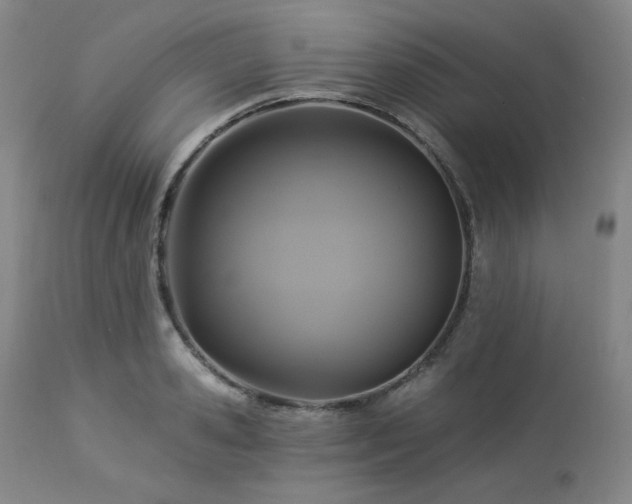 X0000113050941200908271527