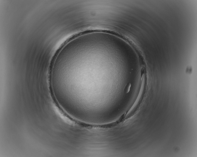 X0000113050942200908271527
