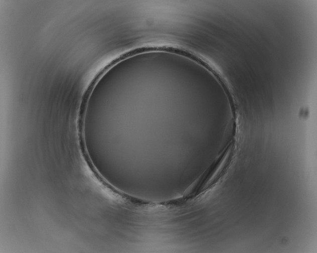 X0000113050943200908271527