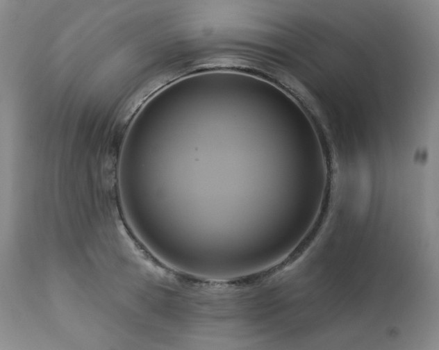 X0000113050945200908271527