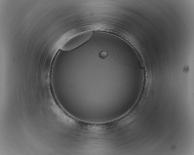 X0000113050946200908271527