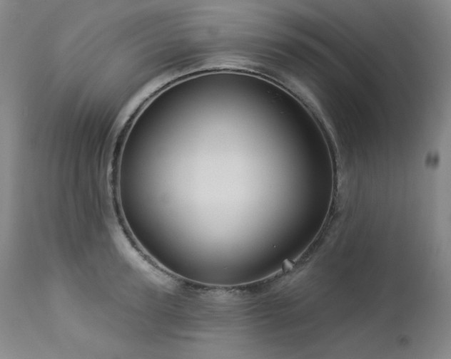 X0000113050947200908271527