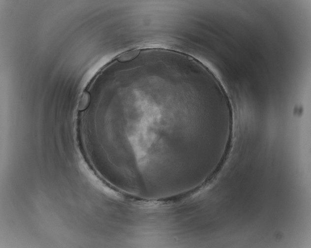X0000113050949200908271527