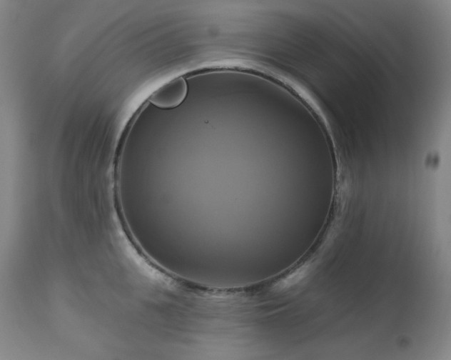 X0000113050951200908271527