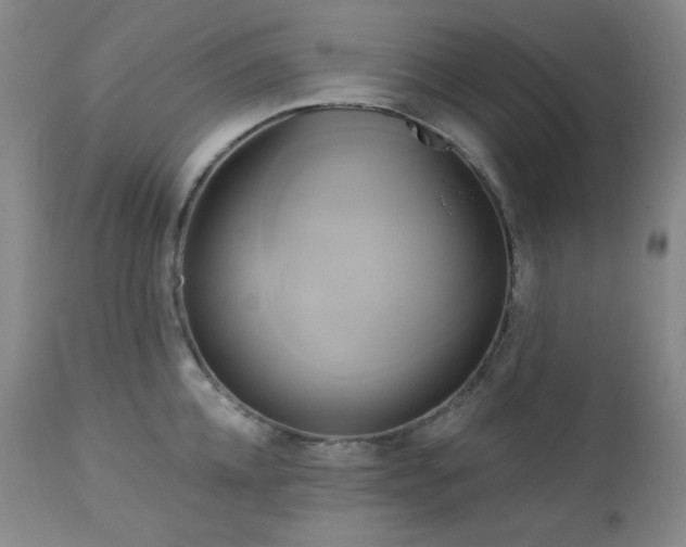 X0000113050952200908271527