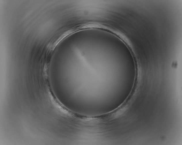 X0000113050953200908271527
