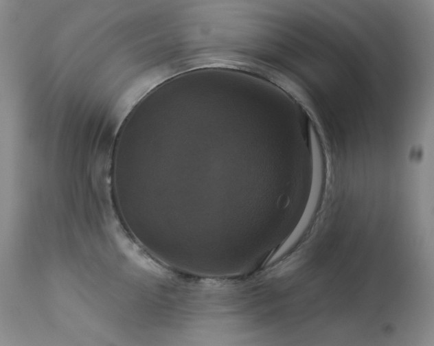 X0000113050954200908271527