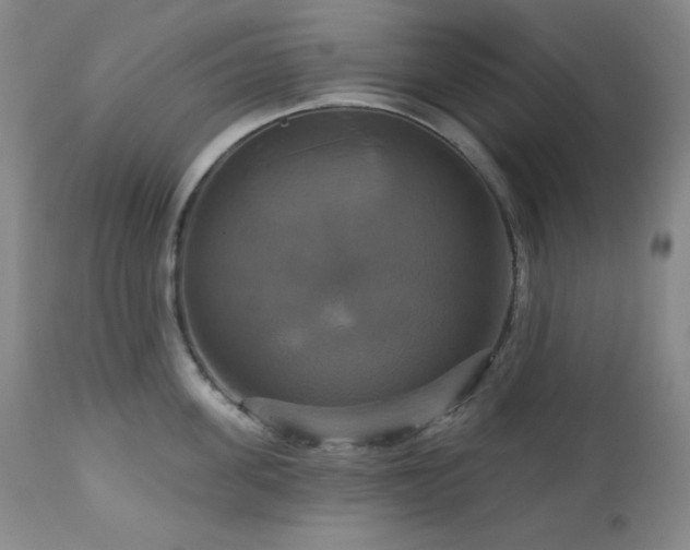 X0000113050955200908271527