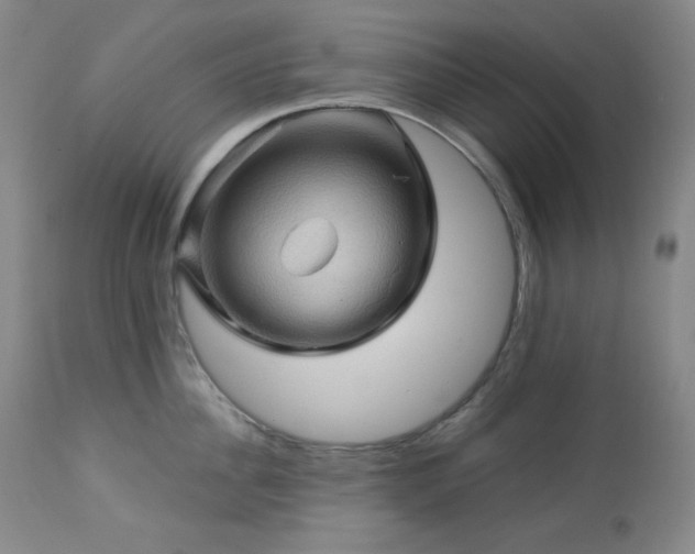 X0000113050956200908271527