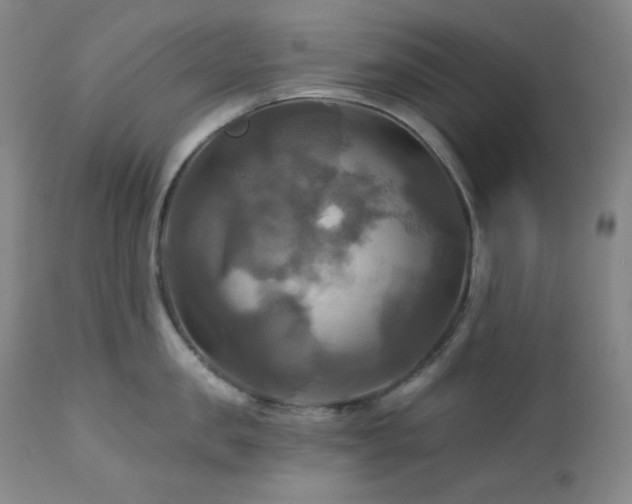 X0000113050957200908271527
