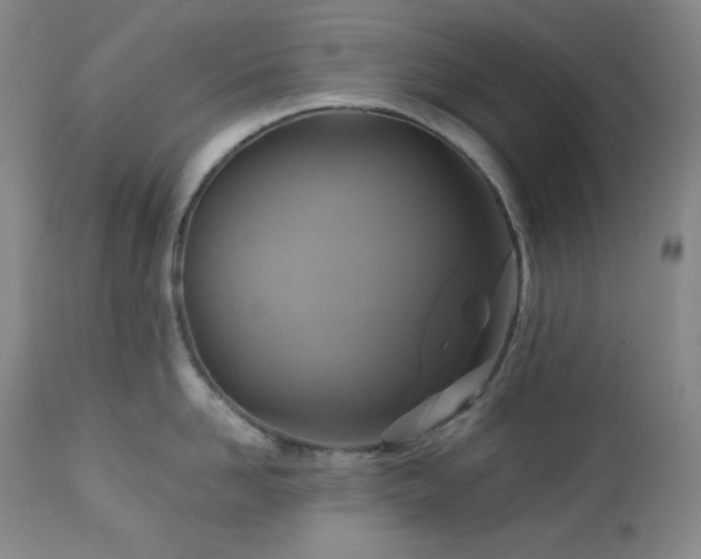 X0000113050958200908271527