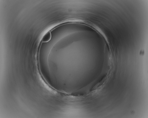 X0000113050959200908271527