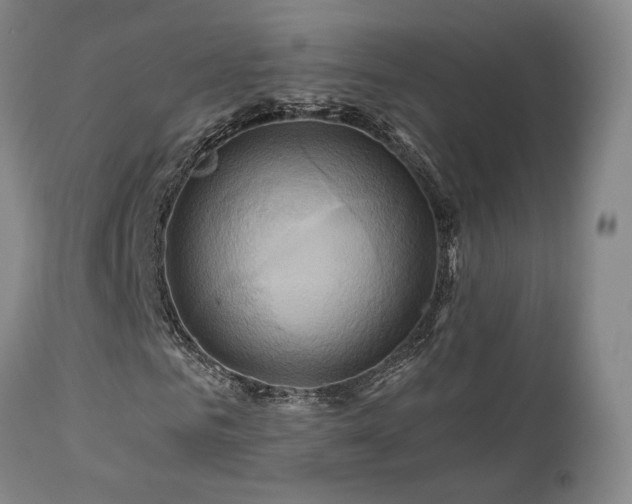X0000113050961200908271527