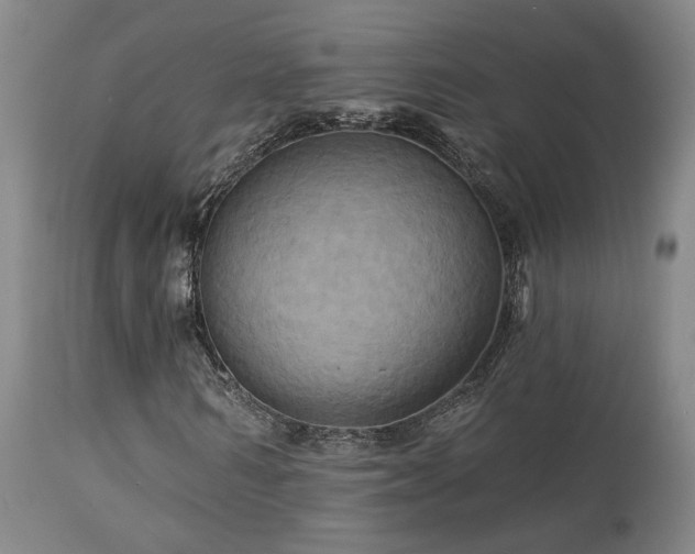 X0000113050962200908271527