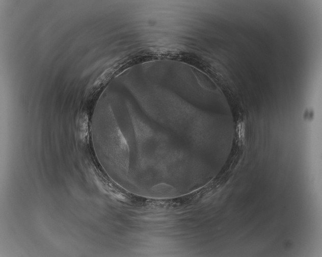 X0000113050963200908271527