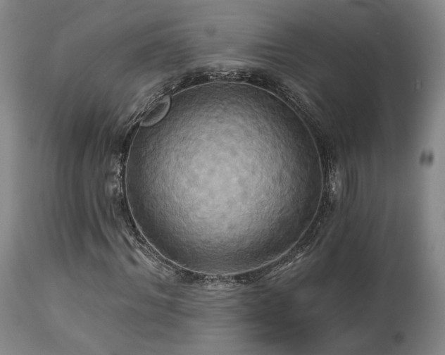 X0000113050964200908271527