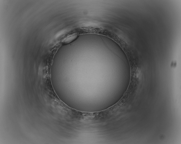 X0000113050965200908271527