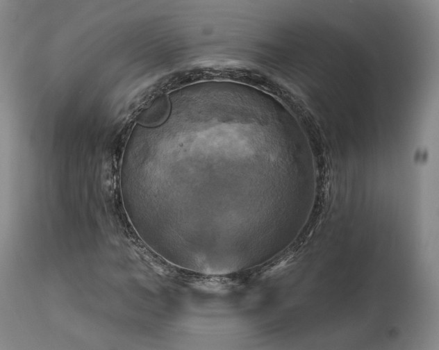 X0000113050966200908271527