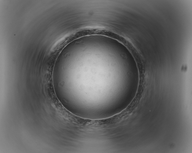 X0000113050967200908271527