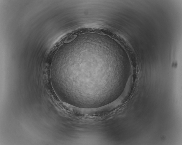 X0000113050968200908271527