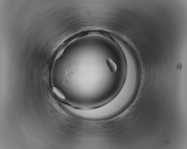 X0000113050969200908271527