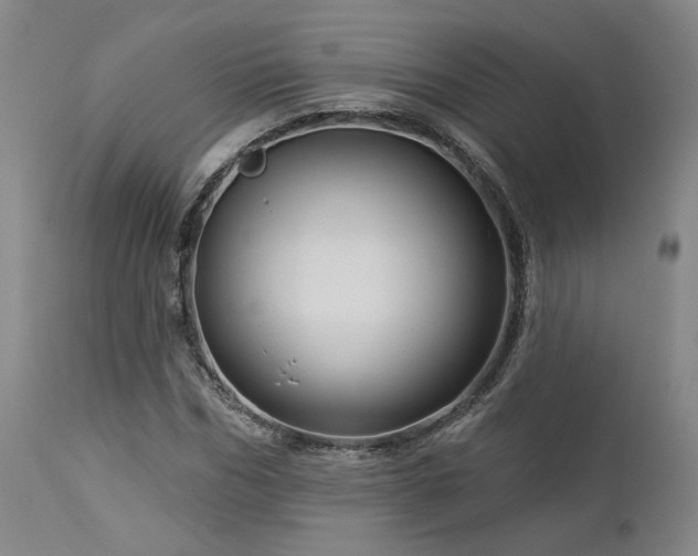 X0000113050970200908271527