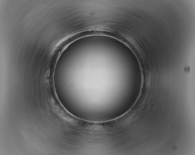 X0000113050971200908271527