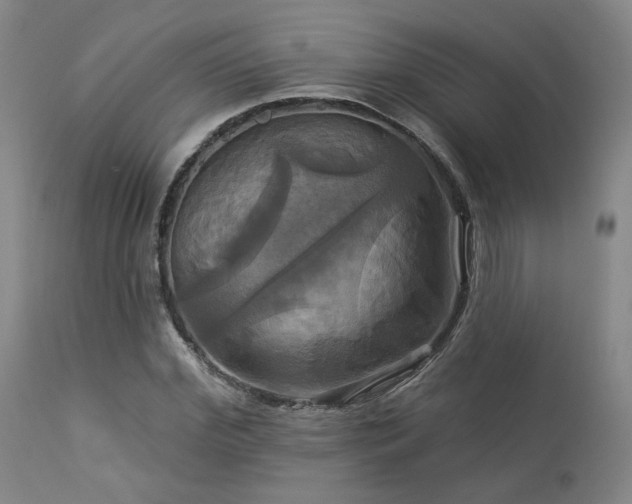X0000113050972200908271527