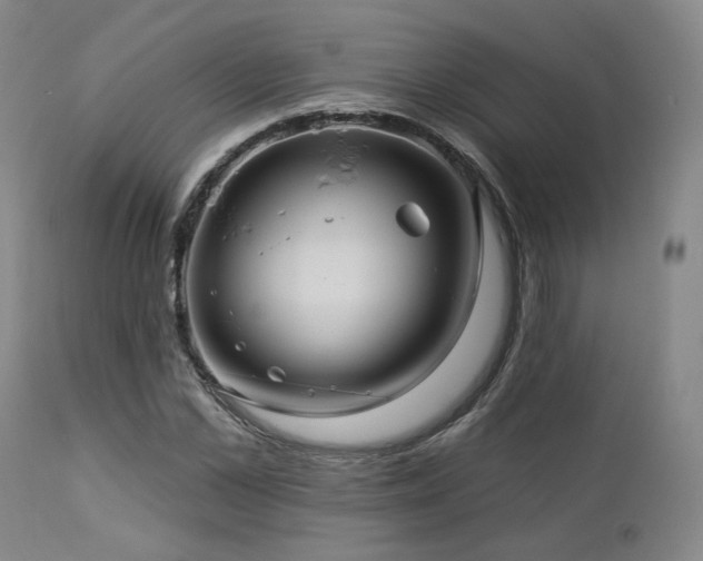 X0000113050973200908271527