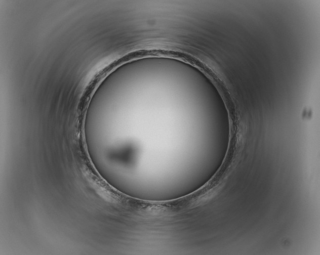 X0000113050974200908271527