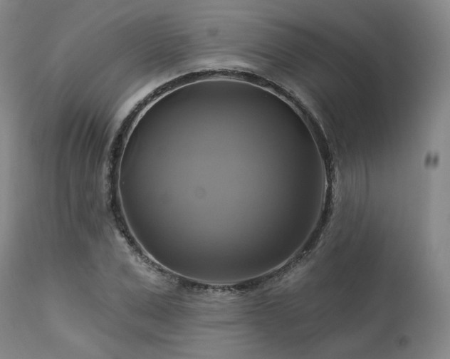 X0000113050975200908271527