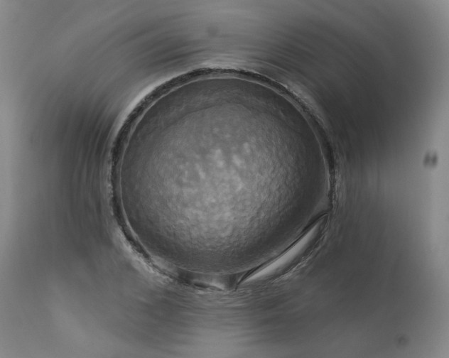 X0000113050976200908271527