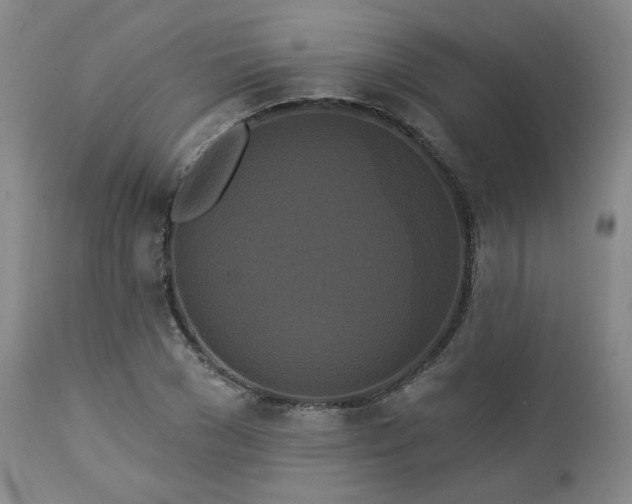 X0000113050977200908271527