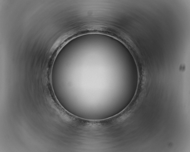 X0000113050978200908271527