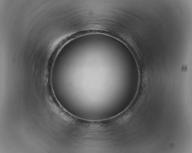 X0000113050979200908271527