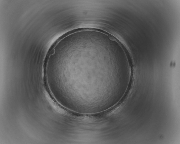 X0000113050980200908271527