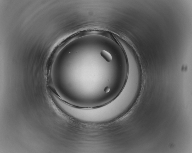 X0000113050981200908271527