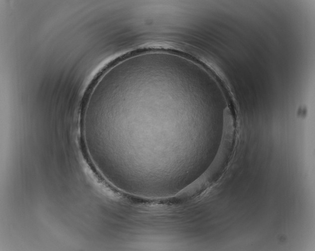 X0000113050984200908271526
