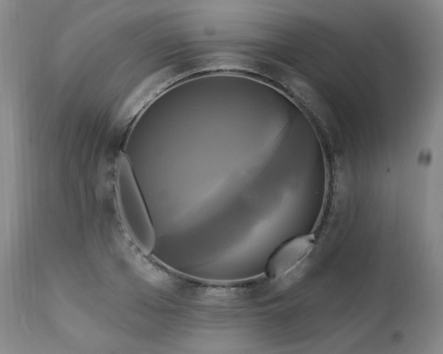 X0000113050985200908271526
