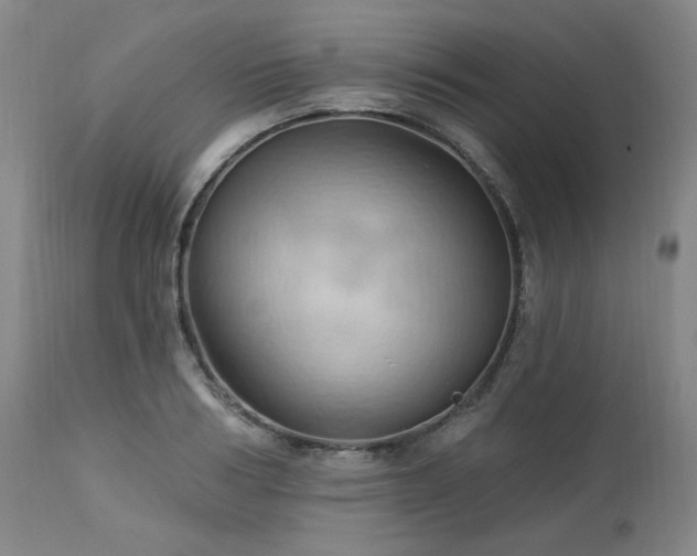 X0000113050986200908271526