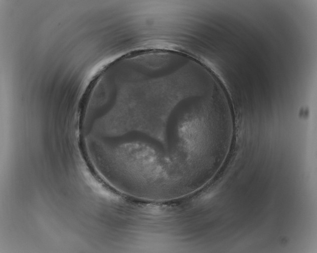 X0000113050987200908271526