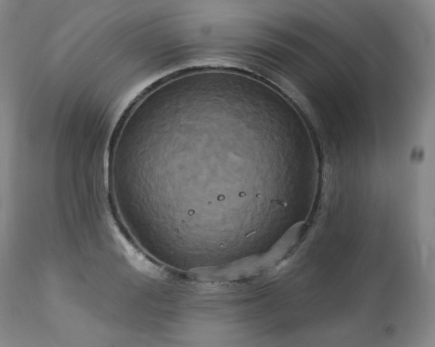 X0000113050988200908271526