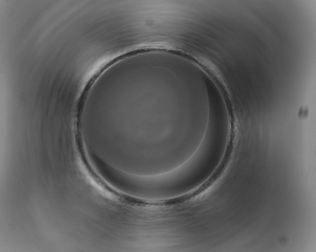 X0000113050989200908271526