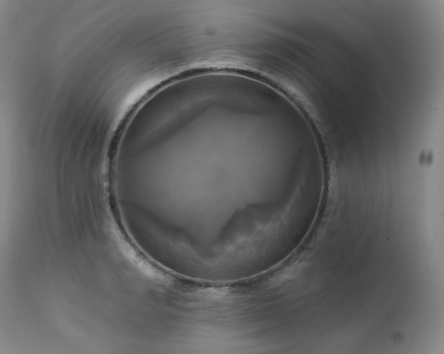 X0000113050990200908271526