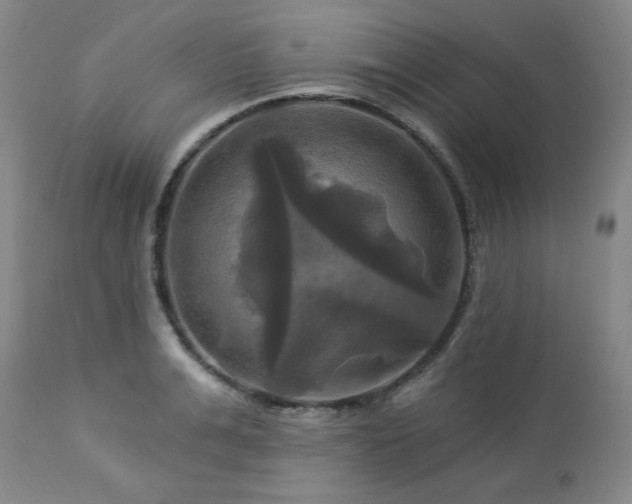 X0000113050991200908271526