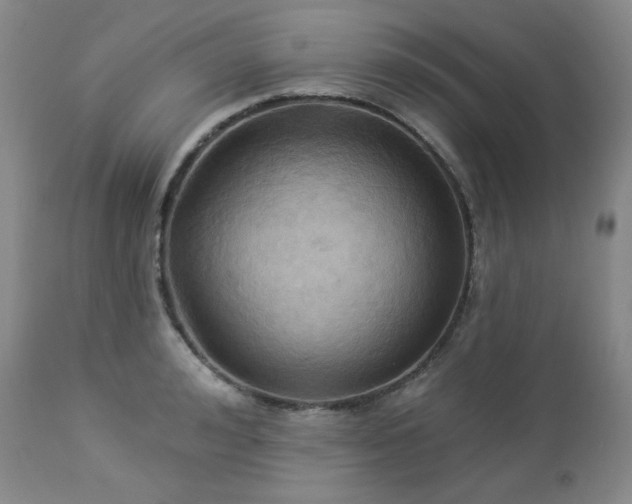 X0000113050992200908271526